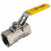 Manual 2-Way Ball Valve NPT 316 SS