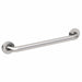 Grab Bar SS Satin 36 in L
