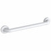 Grab Bar SS Painted 24 in L