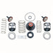 Reduced Pressure Zone Total Repair Kit