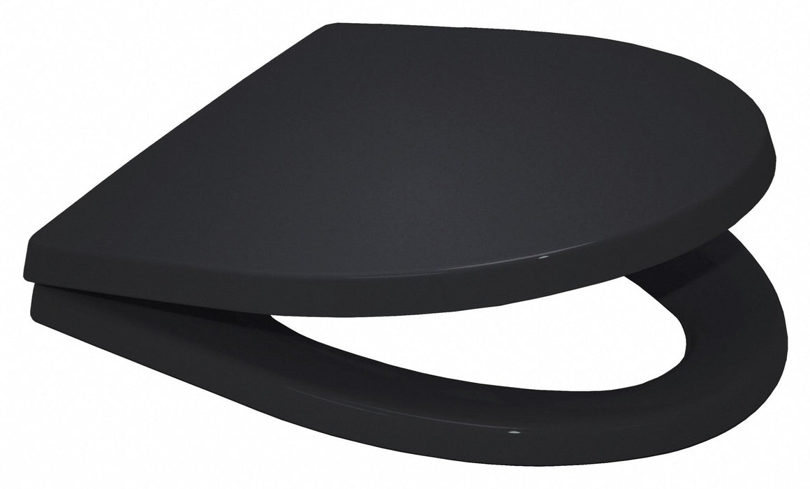 Toilet Seat Blk 14.25 in W 2.5 in H