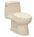 Tank Toilet China FloorMount