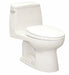 Tank Toilet 12 Rough-In Floor Mount