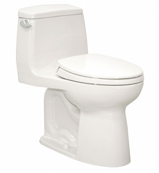 Tank Toilet 12 Rough-In Floor Mount