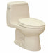 Tank Toilet 12 Rough-In Floor Mount
