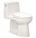 Tank Toilet 12 Rough-In Floor Mount