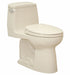 Tank Toilet 12 Rough-In Floor Mount