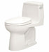 Tank Toilet China FloorMount