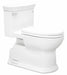 Tank Toilet 12 Rough-In Floor Mount