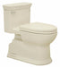Tank Toilet 12 Rough-In Floor Mount