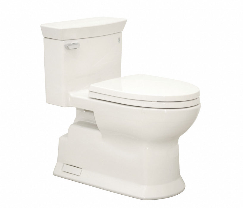 Tank Toilet 12 Rough-In Floor Mount