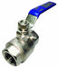 Manual 2-Way Ball Valve NPT 316 SS