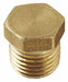 Hydraulic Hose Plug 1/4 -18 Male NPTF