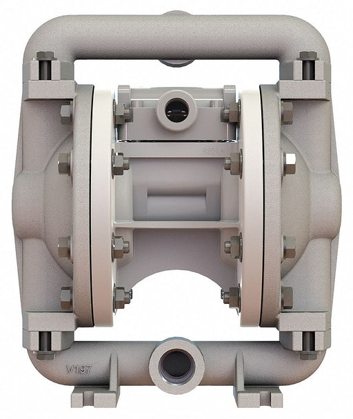 DblDiaphPmp FNPT TPV/Aluminum 3/8 12gpm