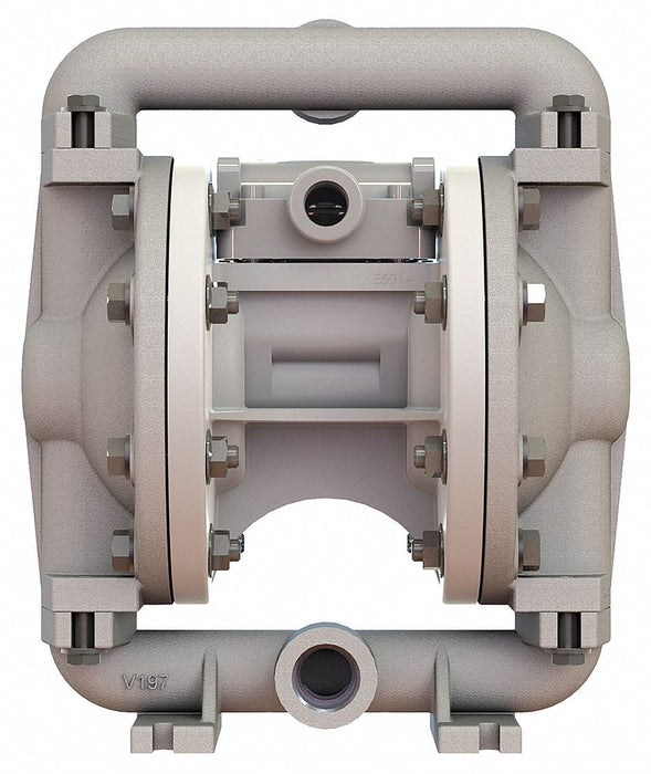 DblDiaphPmp FNPT TPV/Aluminum 3/8 12gpm