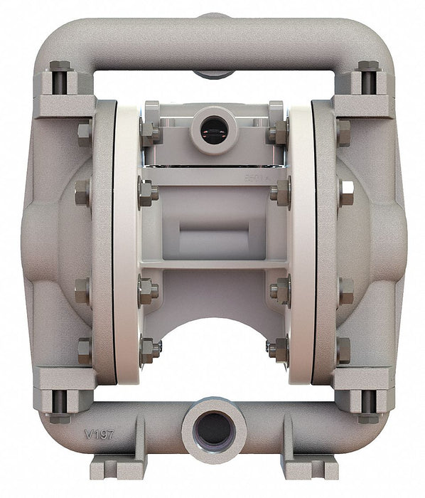 DblDiaphPmp FNPT Buna N/SStl 3/8 12gpm