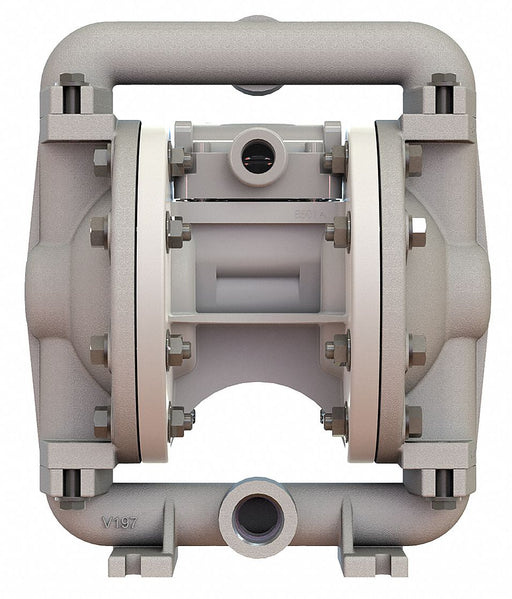 DblDiaphPmp FNPT PTFE/SSteel 3/8in 12gpm