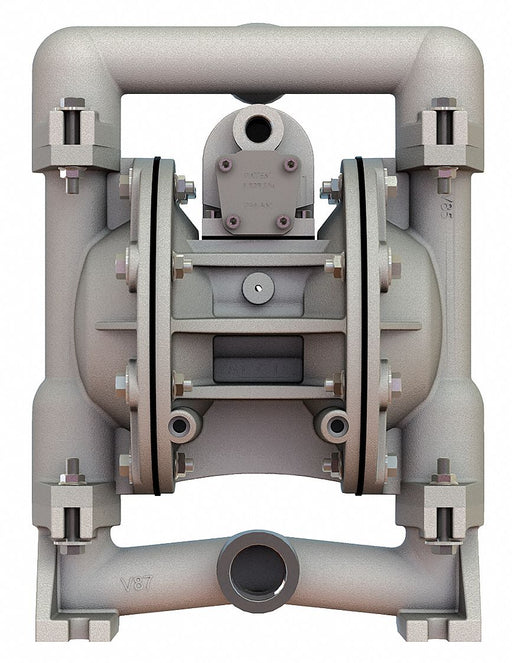Dbl DiaphPmp NPT PTFE/SSteel 3/8in 49gpm