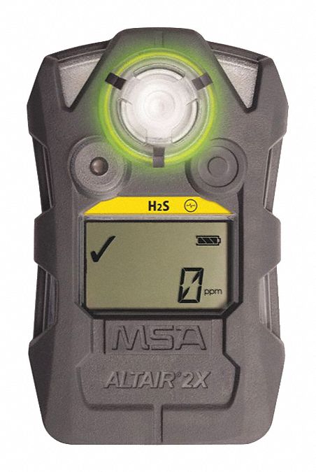 Gas Detector Hydrogen Sulfide
