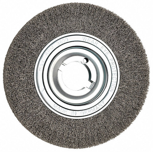 Steel Wire Brush 10 in Dia