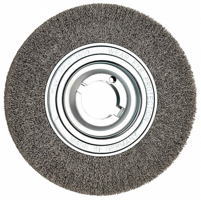 Steel Wire Brush 10 in Dia