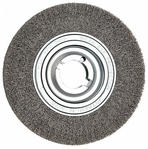 Steel Wire Brush 10 in dia