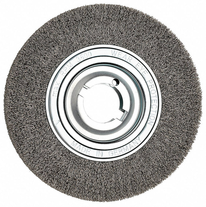 Steel Wire Brush 10 in dia