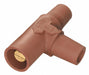 Tapping Tee Brn Female-Female-Male
