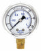 N0241 Pressure Gauge 1/4 in NPT 2 in