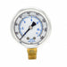 N0241 Pressure Gauge 1/4 in NPT 2 in