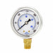 Pressure Gauge 1/4 in NPT 2 in