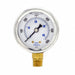 Pressure Gauge 1/4 in NPT 2 in