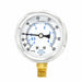 Compound Gauge 1/4 in NPT 2-1/2 in