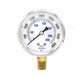 N0239 Pressure Gauge 1/4 in NPT 2-1/2 in