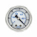 N0242 Vacuum Gauge 1/4 in NPT 2 in