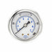 Pressure Gauge 1/8 in NPT 2 in
