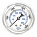 Pressure Gauge 1/4 in NPT 2-1/2 in