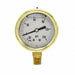 Compound Gauge 1/4 in NPT 2-1/2 in