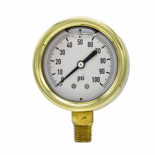 Pressure Gauge 1/4 in NPT 2-1/2 in