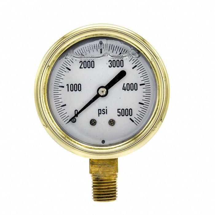 Pressure Gauge 1/4 in NPT 2-1/2 in