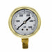 Pressure Gauge 1/4 in NPT 2-1/2 in