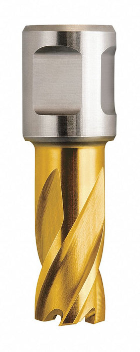 Annular Cutter 1/2in HSS