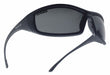 Polarized Safety Glasses Gray