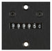 Counter 6 Digit Panel Mount 115VAC