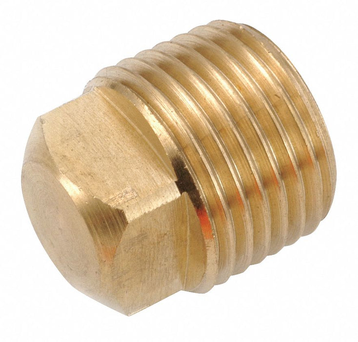 Square Head Plug Brass 3/4 in MNPT