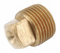 Square Head Plug Brass 1/8 in MNPT