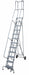 Rolling Ladder Hndrl Pltfm 130 In H