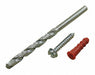 Anchor Bolt Kit 10x1-1/4 Scw 1/4 Bit