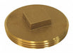 Cleanout Plug Brass 3-1/2 Raised Head