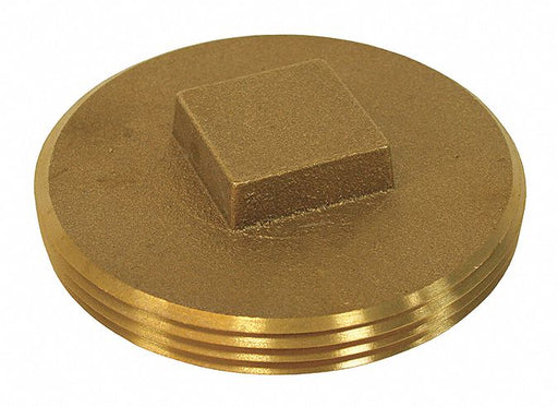 Cleanout Plug Brass 3-1/2 Raised Head